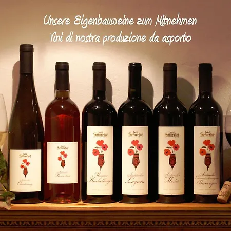 Ξενοδοχείο Sittnerhof 4*
